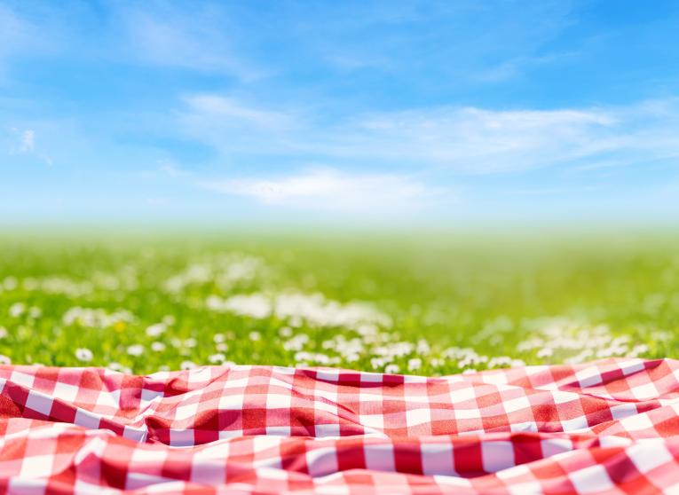 Red and white checkered picnic blanket on a green field with blue sky above it