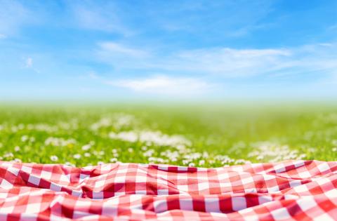 Red and white checkered picnic blanket on a green field with blue sky above it